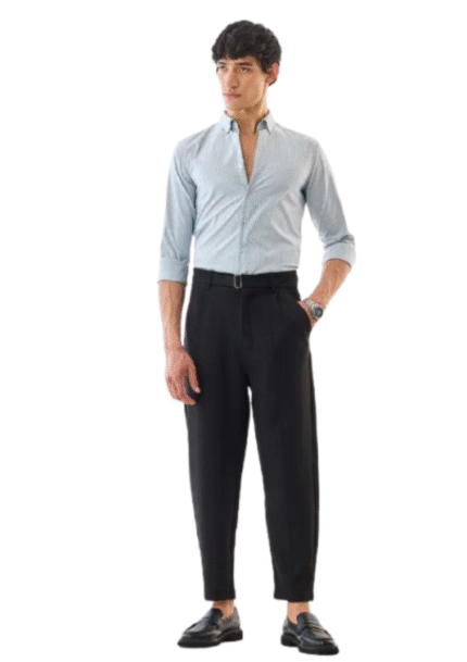 Regular Fit Pleated Trousers
